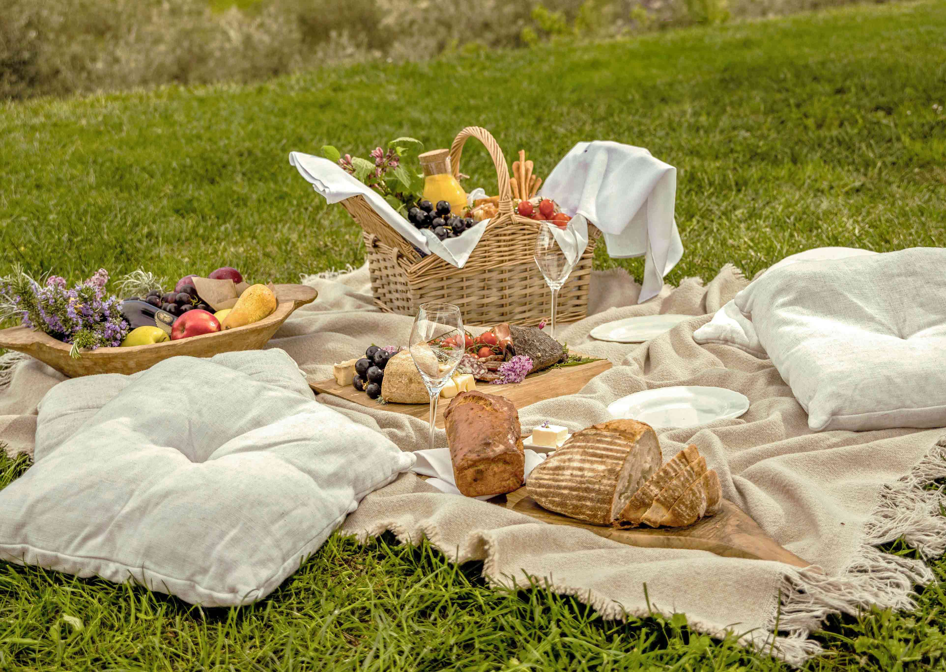 Picnic in the olive groves 