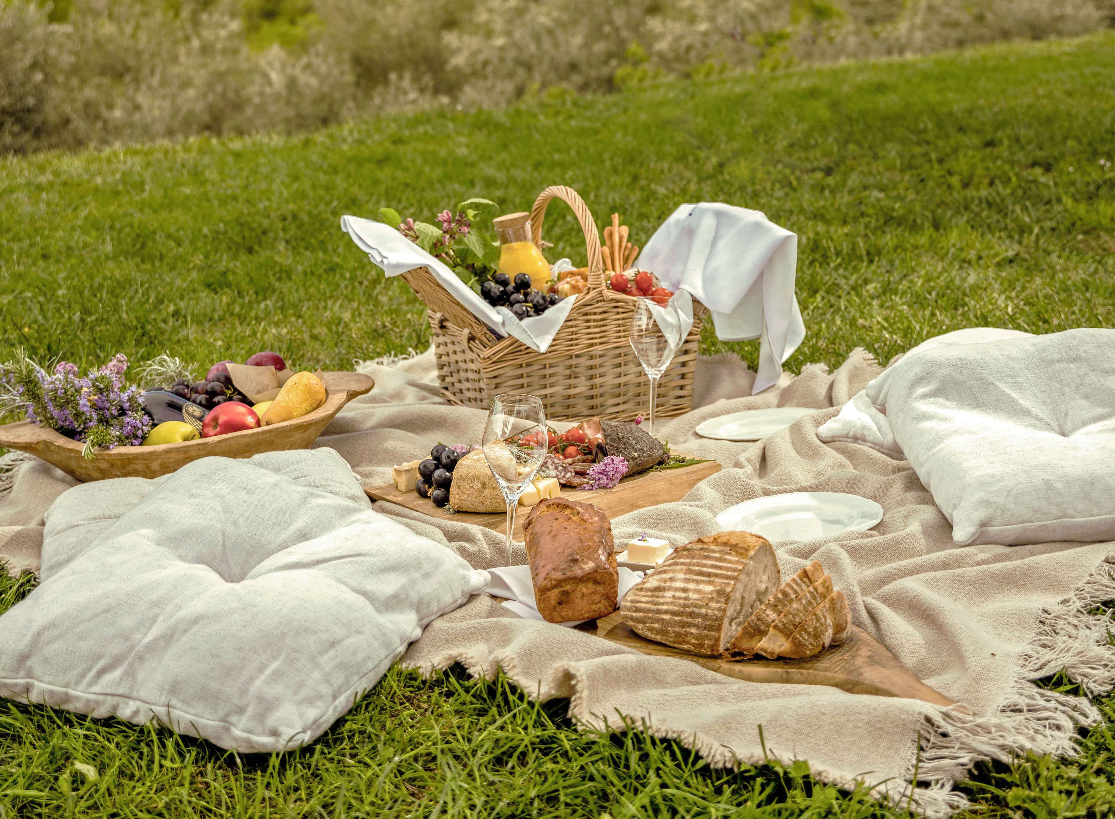 Taste of Istria in the olive groves