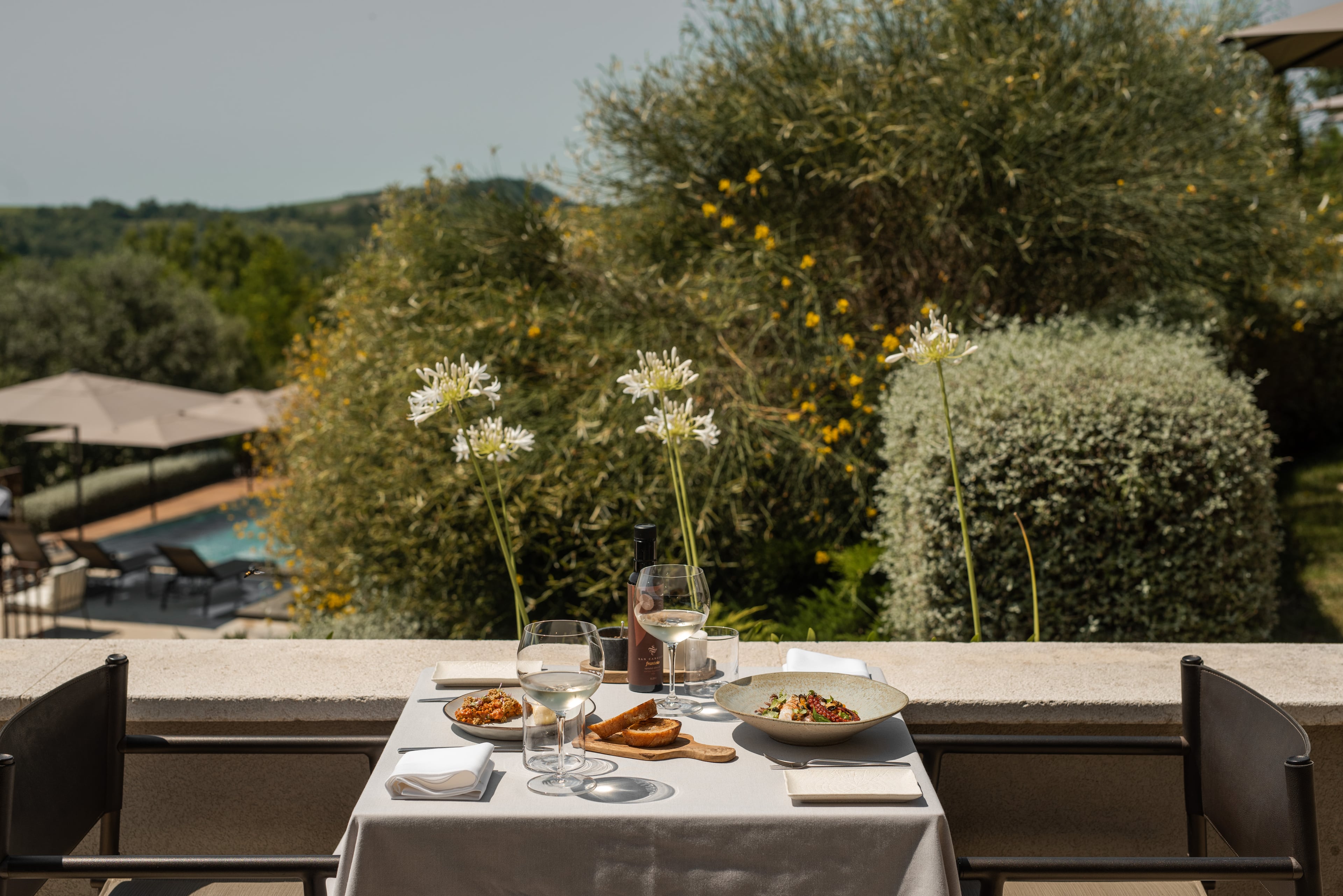 Privatdinner inmitten eines Olivenhains